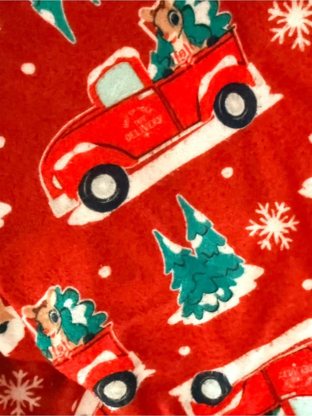 Carters cozy red